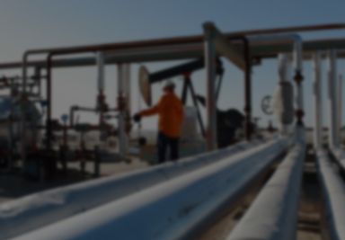 環(huán)境稽查與執(zhí)法